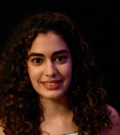 picturealmog-scaled אלמוג אלגרנטי